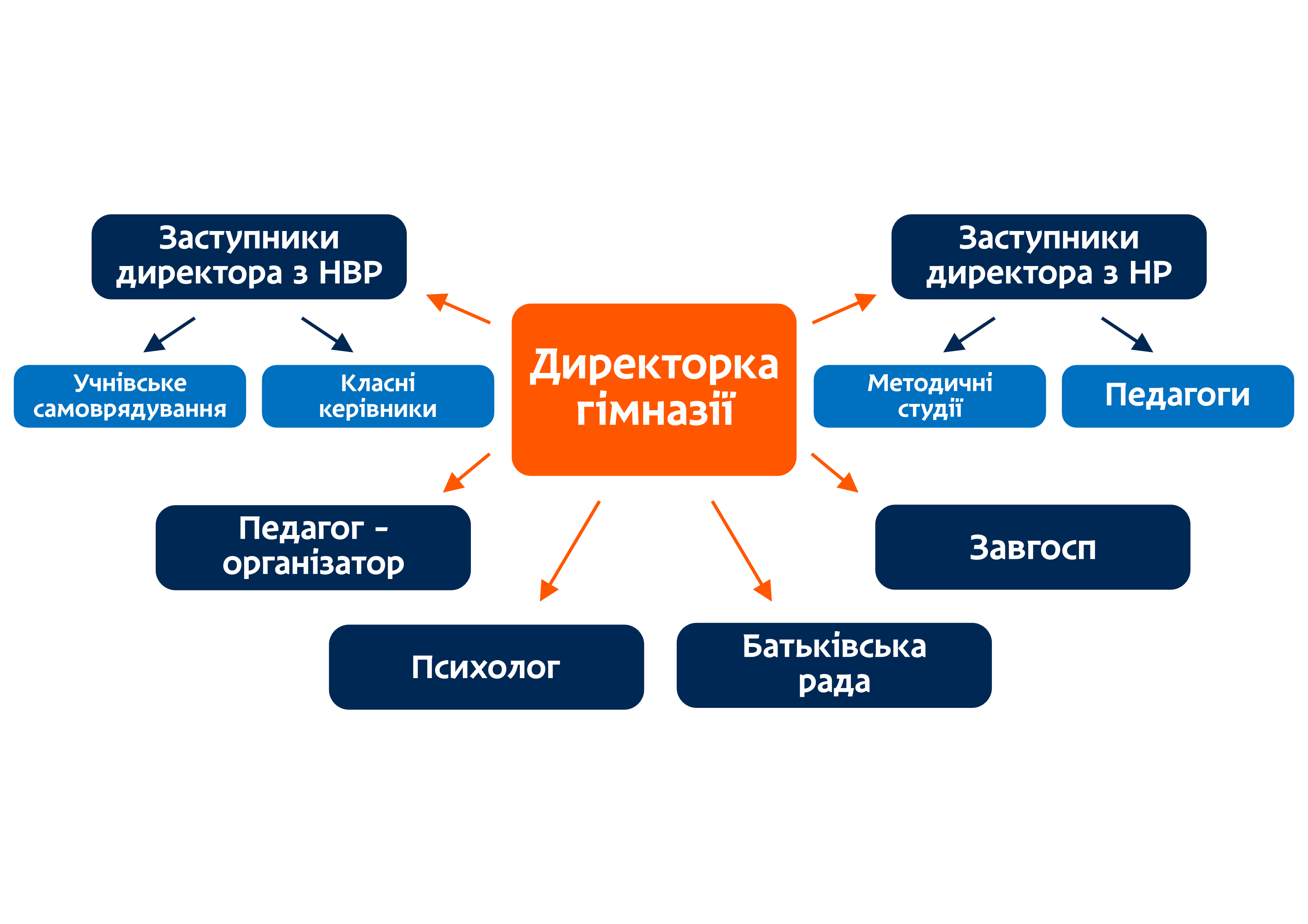 structure and organs